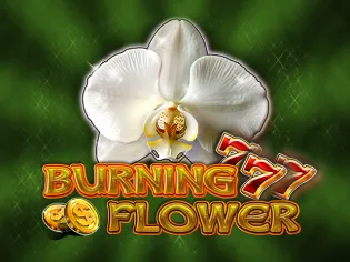Burning Flower screenshot
